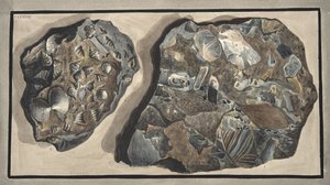 Pieza de mármol compuesta de fragmentos de varios tipos de mármol encontrados en la Fossa Grande, Lámina XXXXVII: de 
